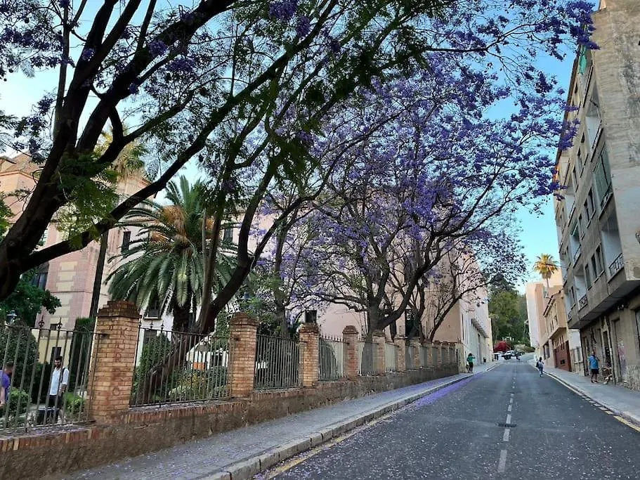 Apartamento Amar-Cura Malaga